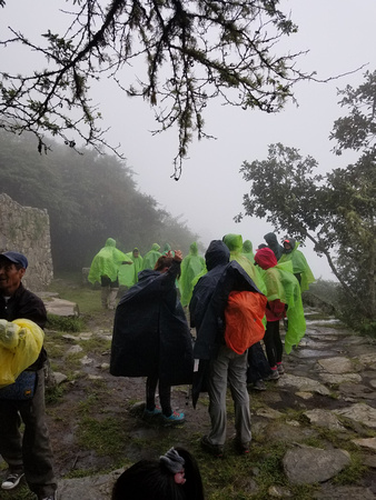 Uday's Photos: Inca Trail 3-6th Nov 2017 &emdash; 